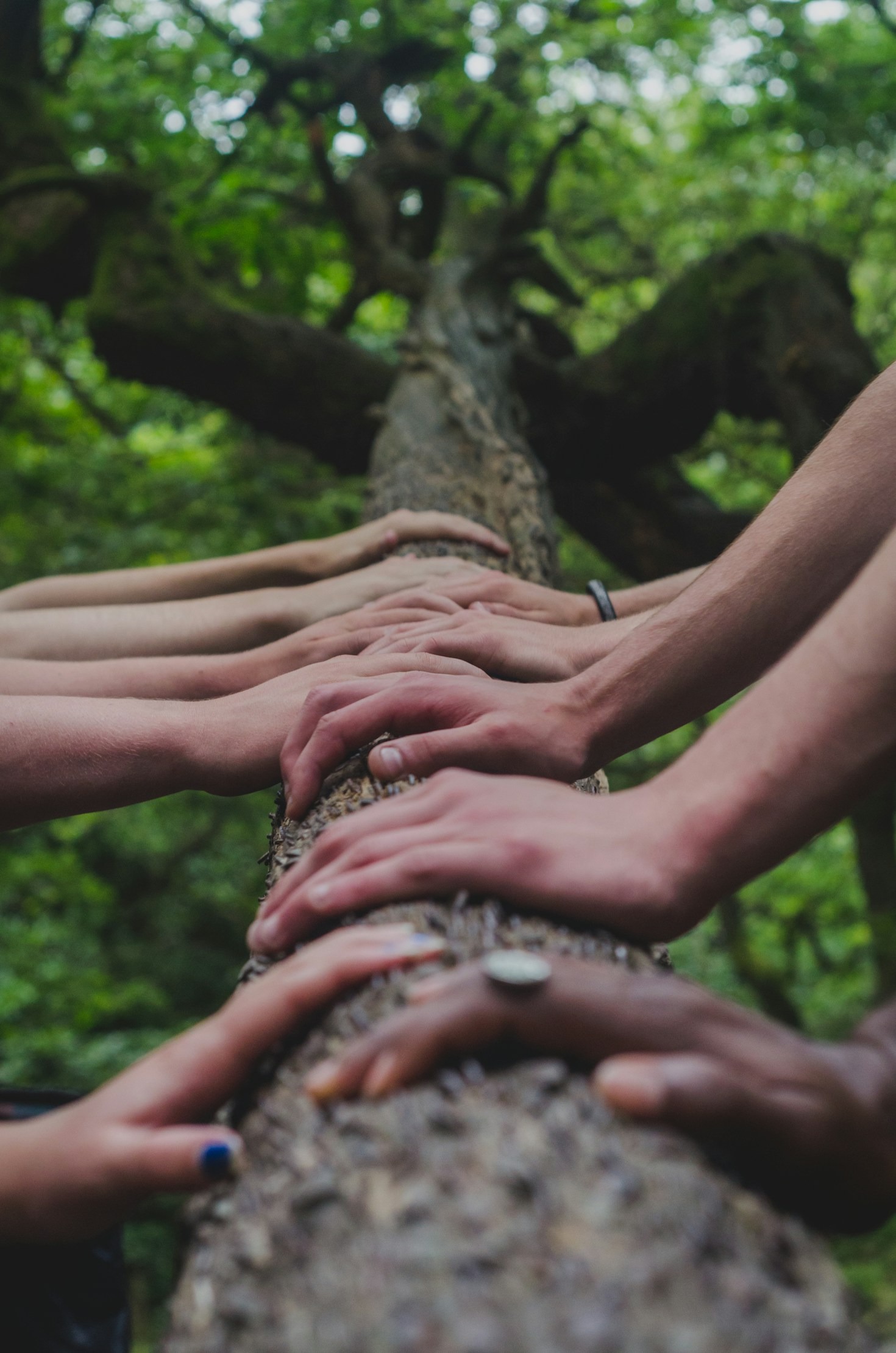 Steps Toward a Healthier, Sober Future